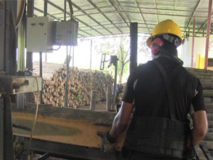 Mill worker with board