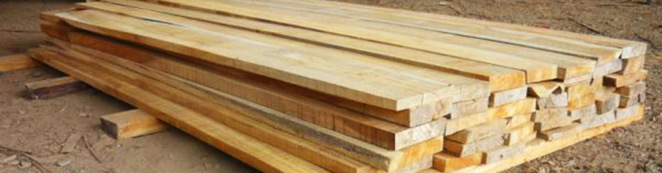 Panama Teak Forestry