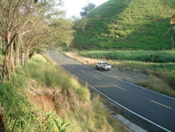 Sona 1 Teak Plantation